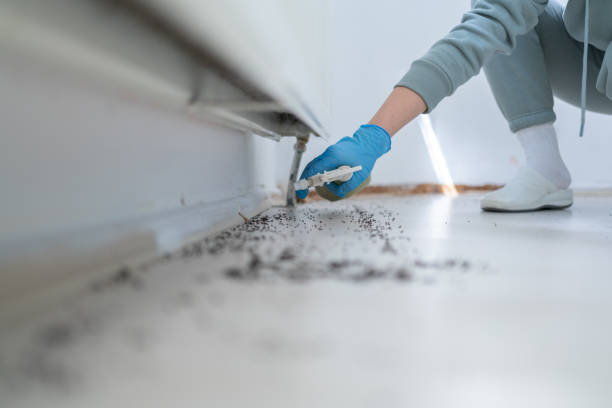 Best Spider Control Near Me  in North Caldwell, NJ